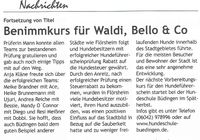 Bericht Stadtjournal Seite 2